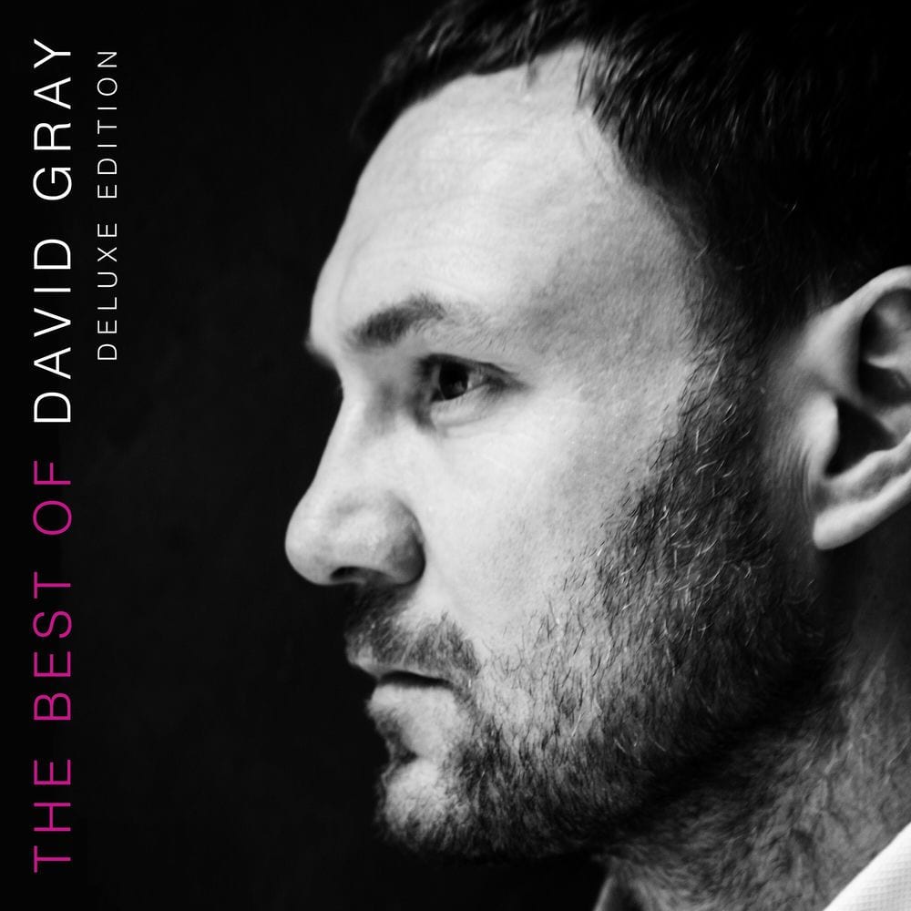 The Best of David Gray cover