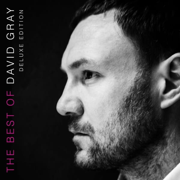 The Best of David Gray cover