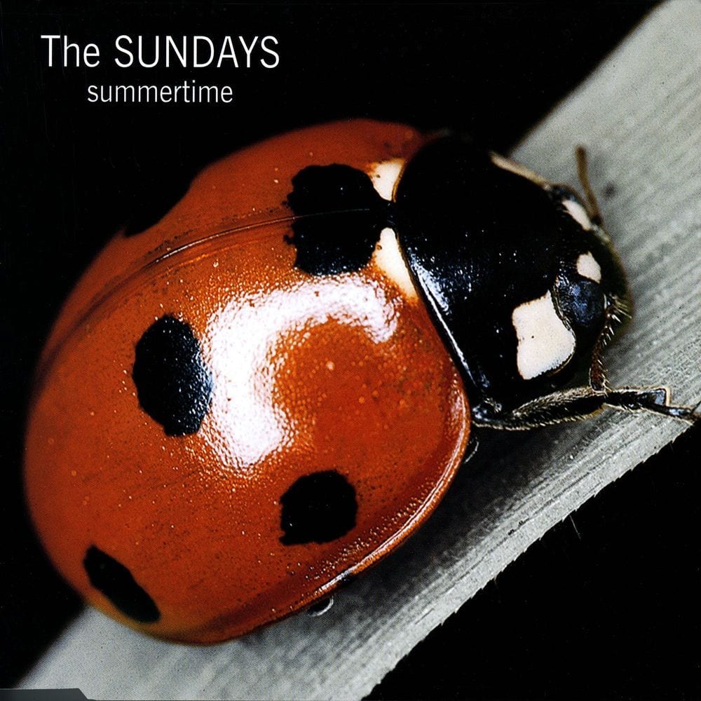 Summertime cover
