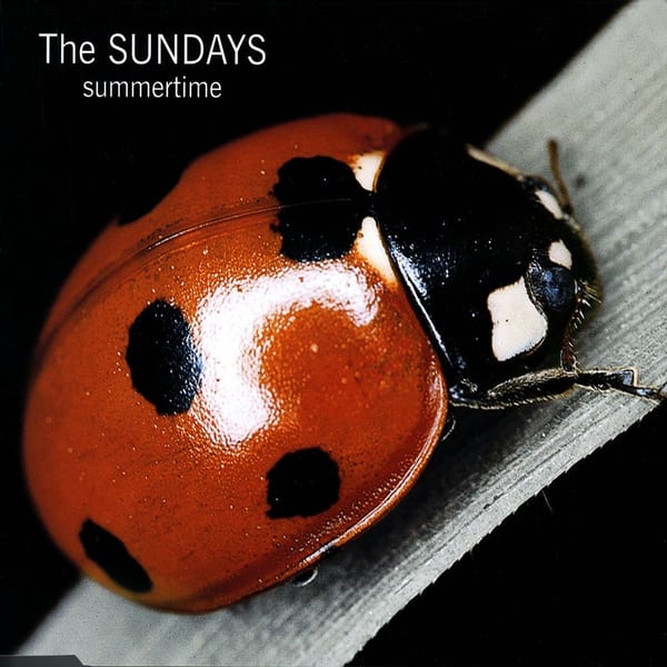 Summertime cover