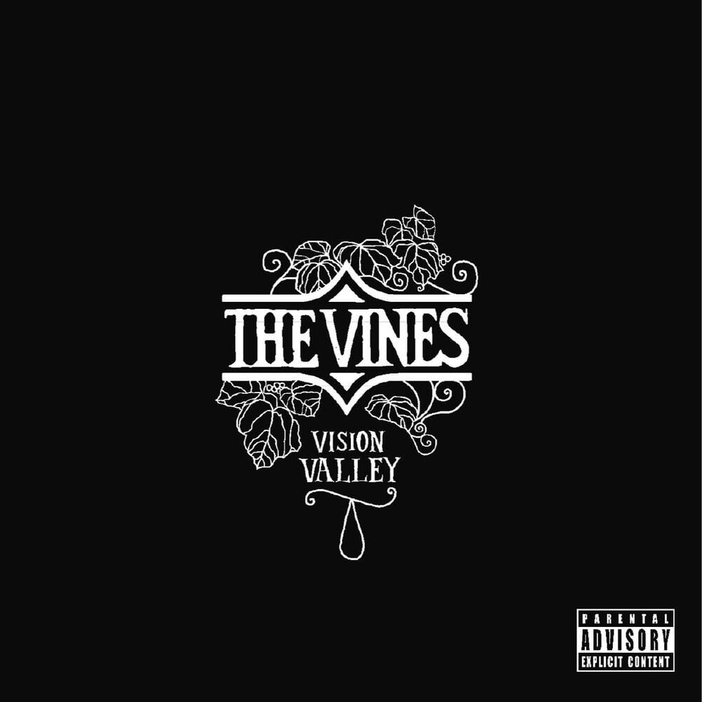 Vision Valley cover