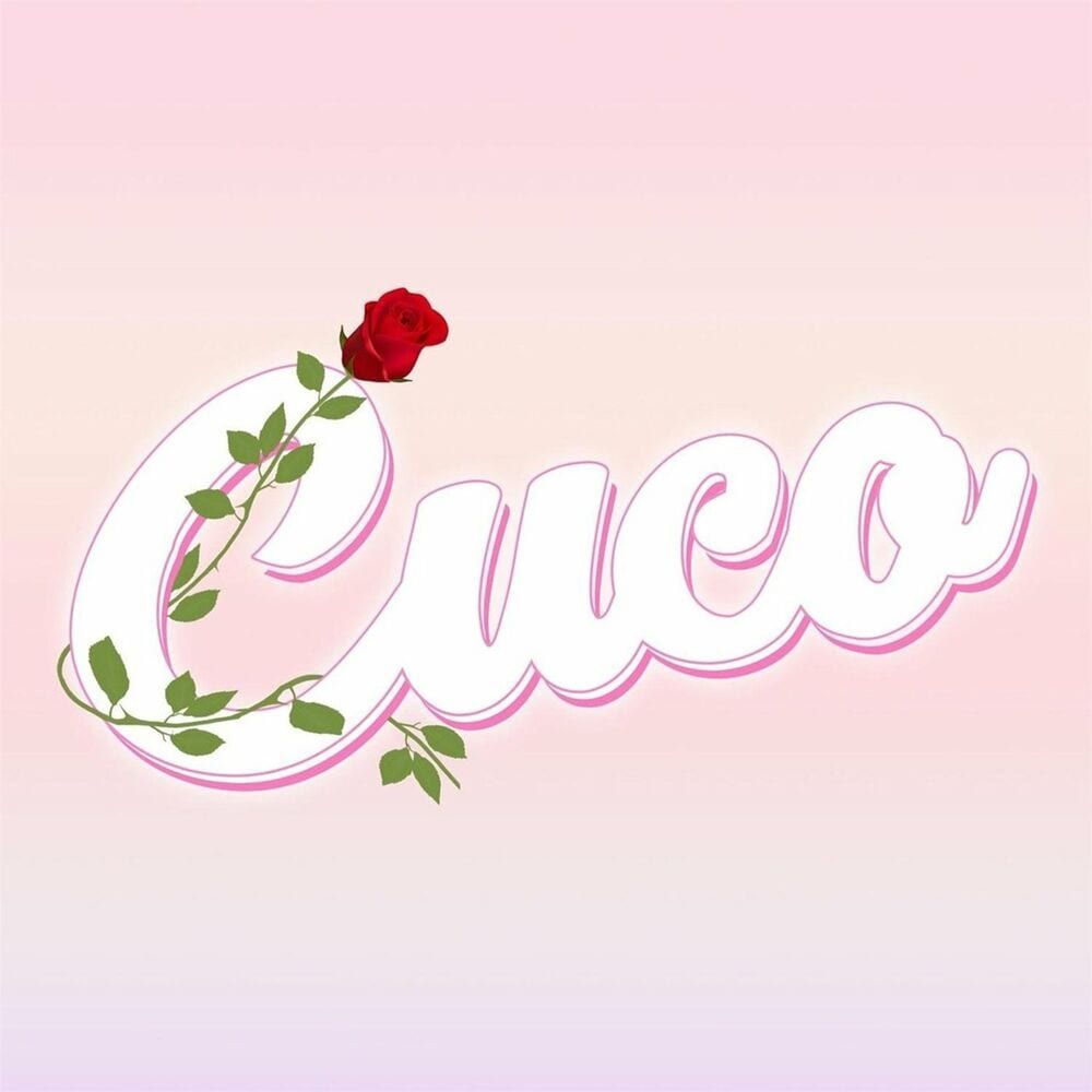 Songs4u cover