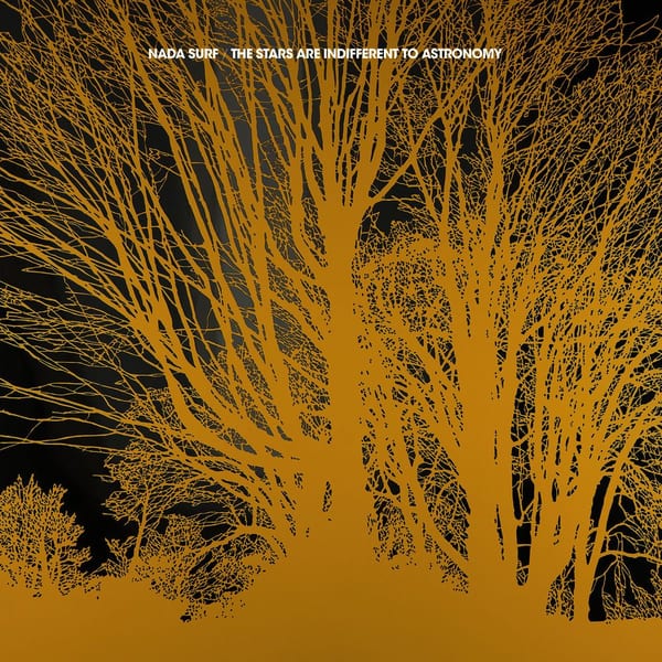 The Stars Are Indifferent to Astronomy cover