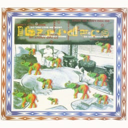 Safari album cover