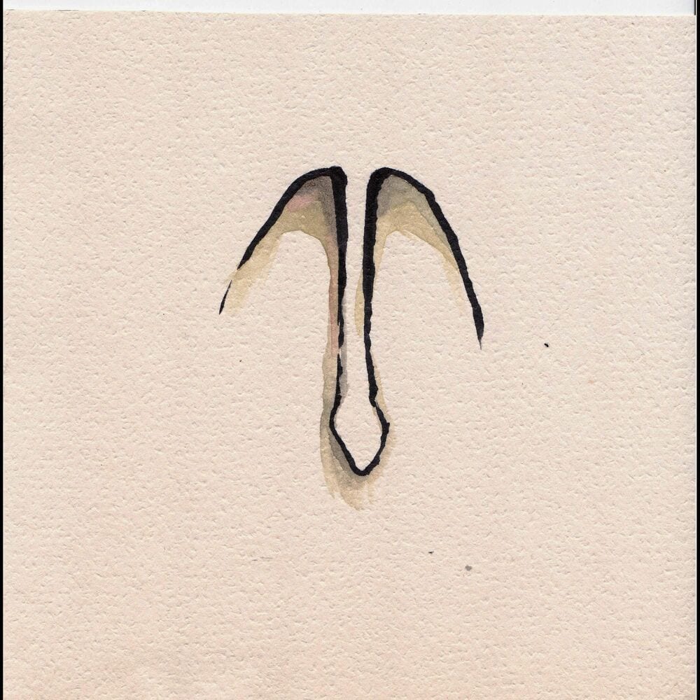 Viator cover