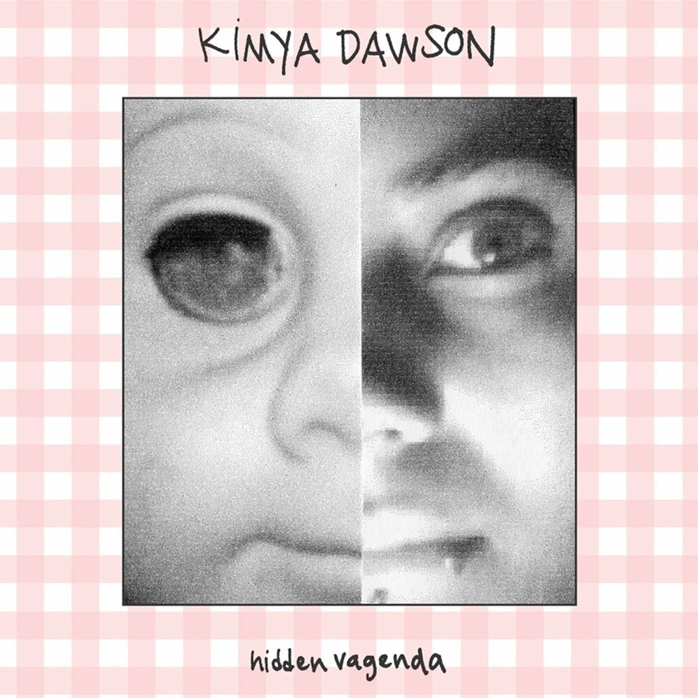 Hidden Vagenda cover