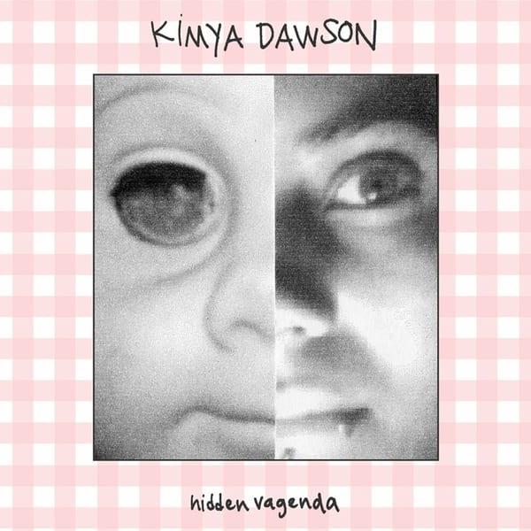 Hidden Vagenda cover