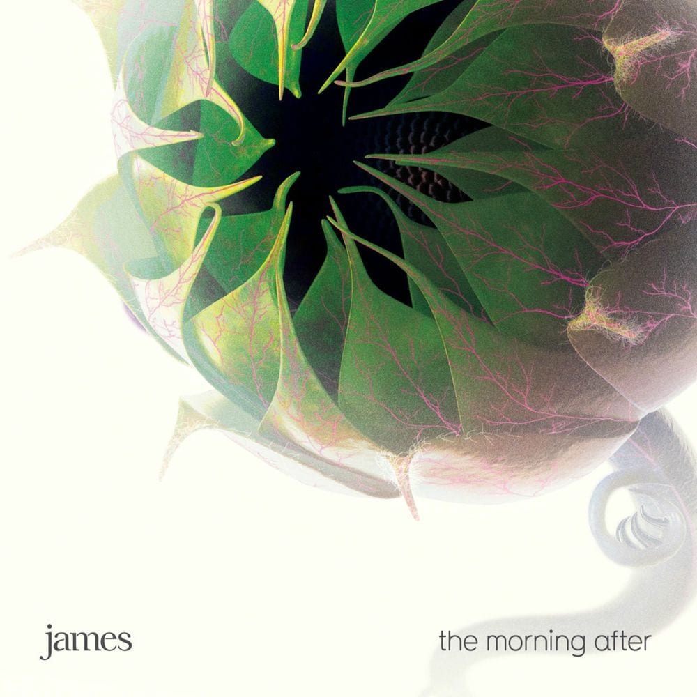 The Morning After cover