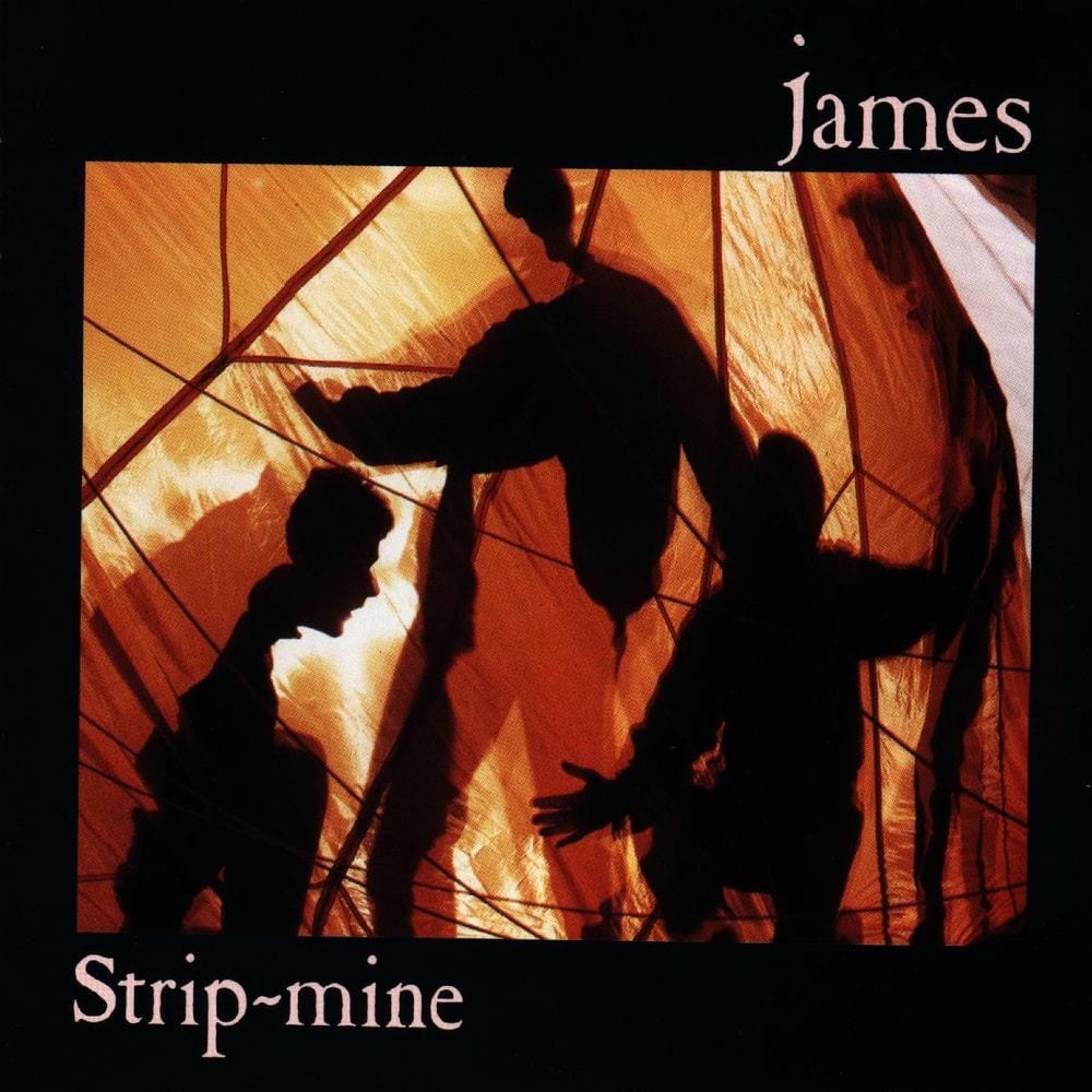 Strip Mine cover