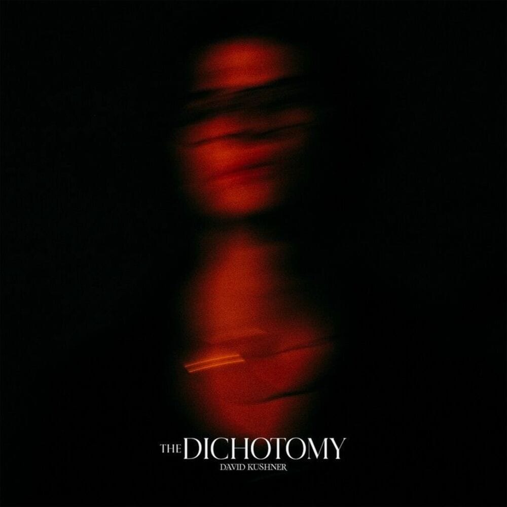 The Dichotomy cover