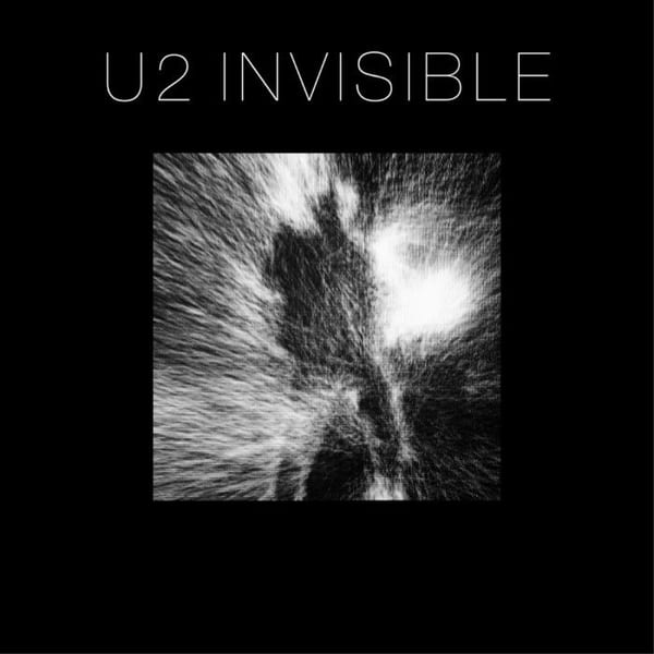 Invisible cover