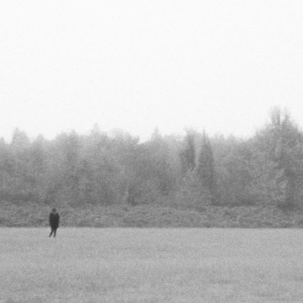 NEGATIVE cover