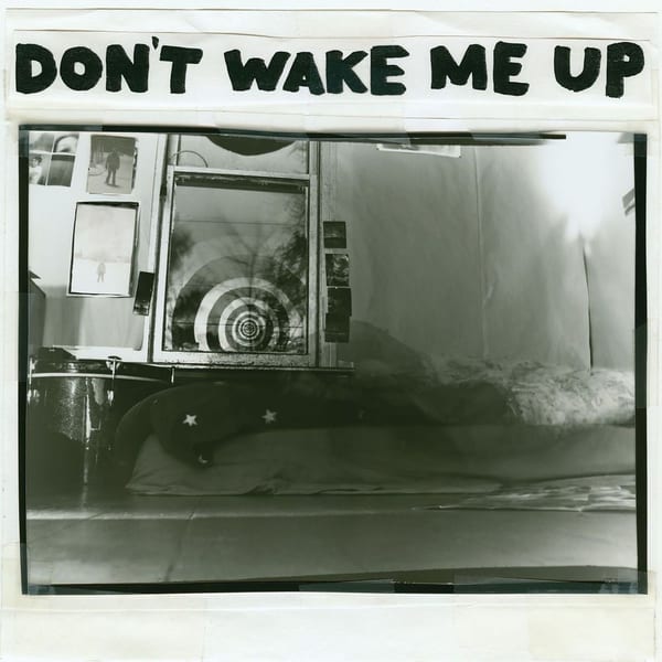Don't Wake Me Up cover