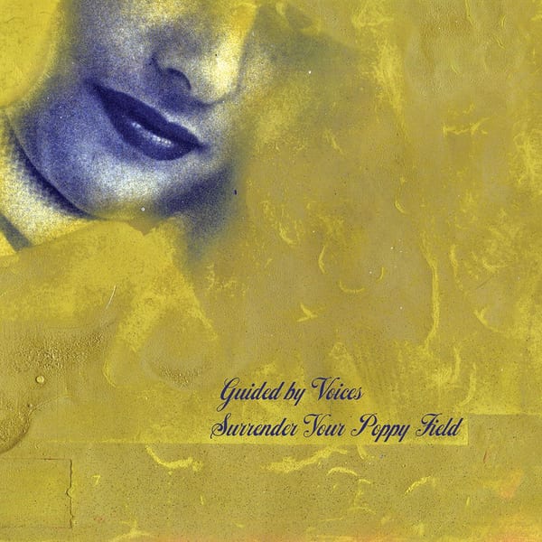 Surrender Your Poppy Field cover