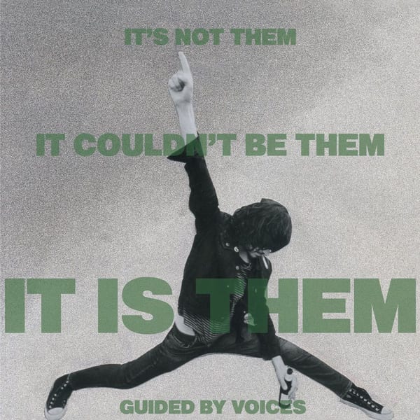 It's Not Them. It Couldn't Be Them. It Is Them! cover