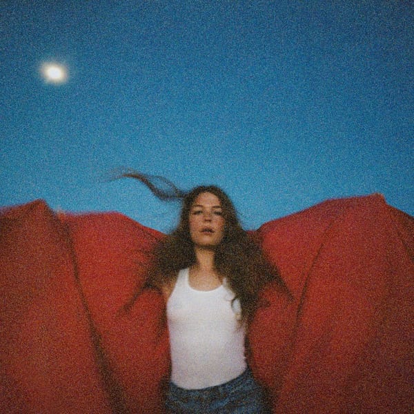Heard It in a Past Life cover