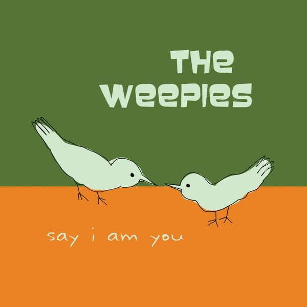 Say I Am You cover