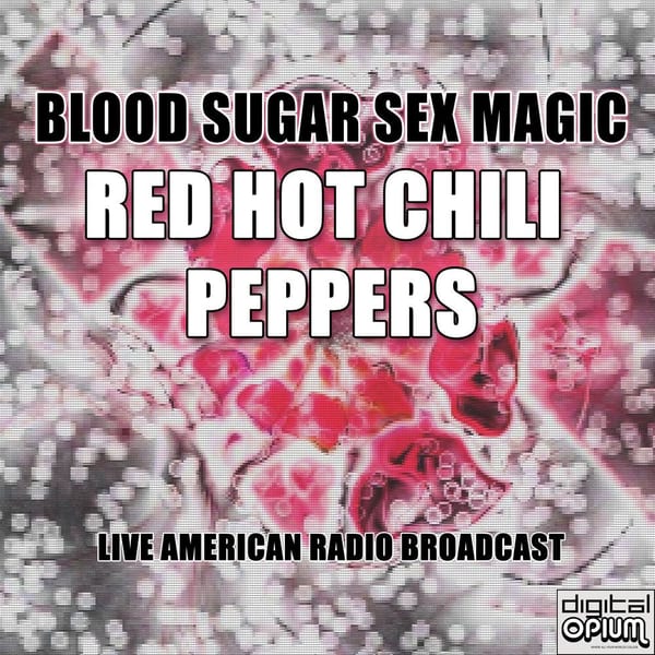 Blood Sugar Sex Magic (Live) cover