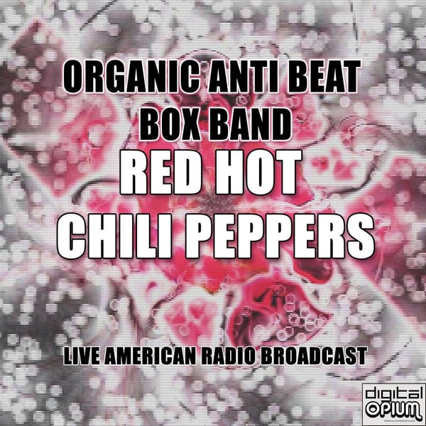 Organic Anti Beat Box Band (Live) cover
