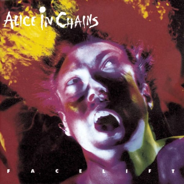 Facelift cover