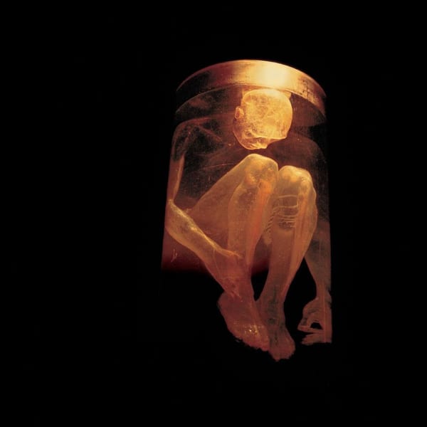 Nothing Safe: The Best of the Box cover