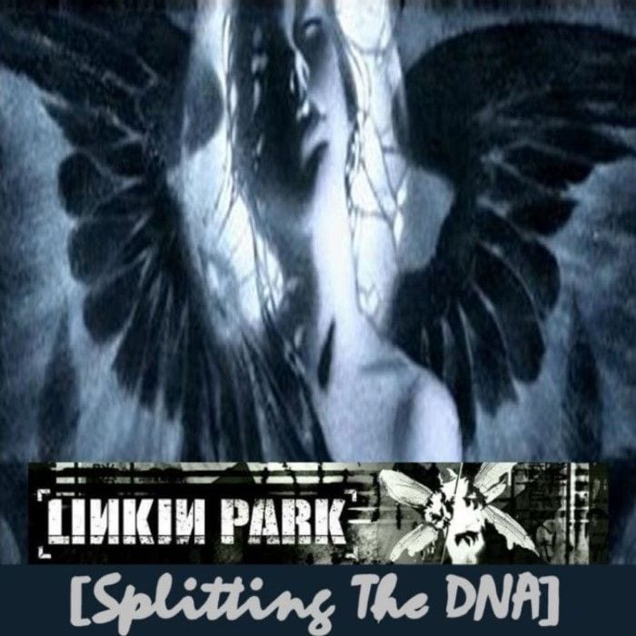 Splitting the DNA cover