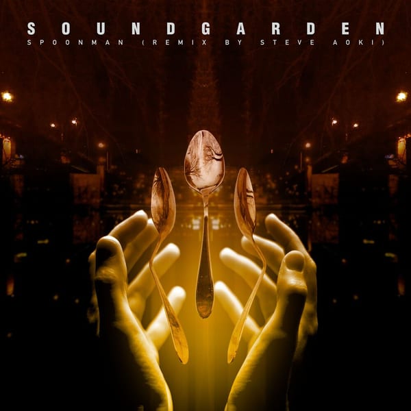 Spoonman (Remix By Steve Aoki) cover