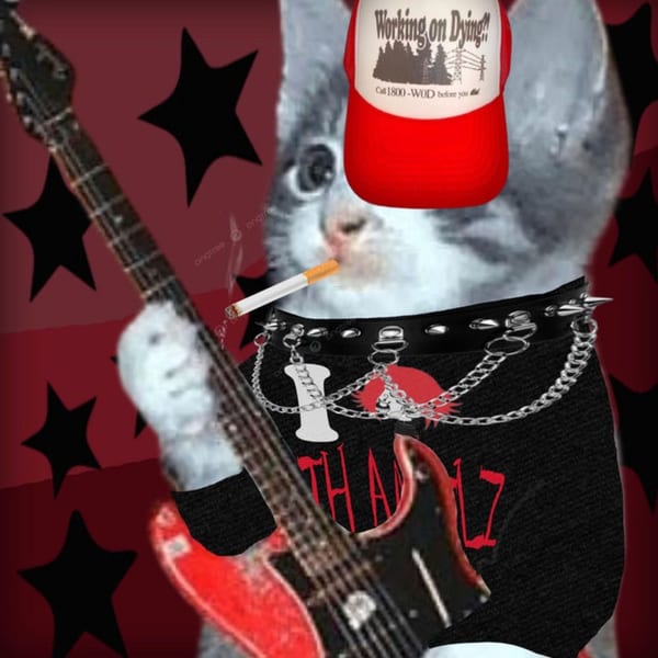 i fucking hate fiona gallagher cover