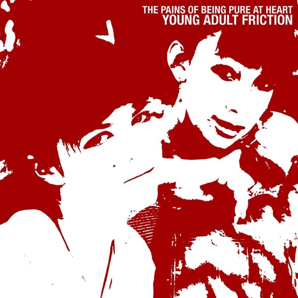 Young Adult Friction cover