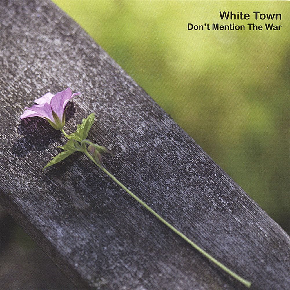 Don't Mention The War cover