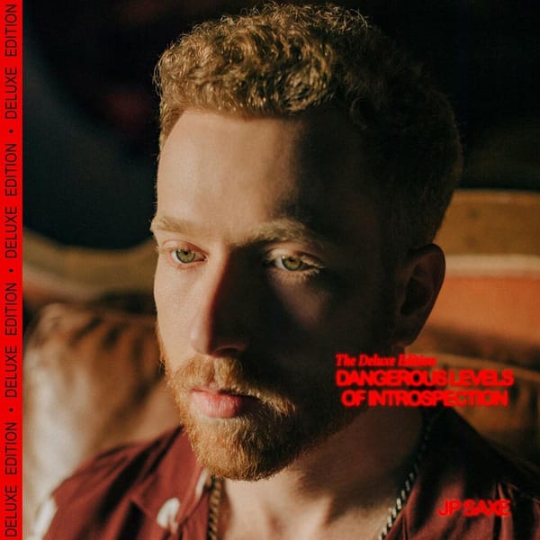 Dangerous Levels of Introspection cover