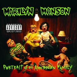 Portrait of an American Family album cover