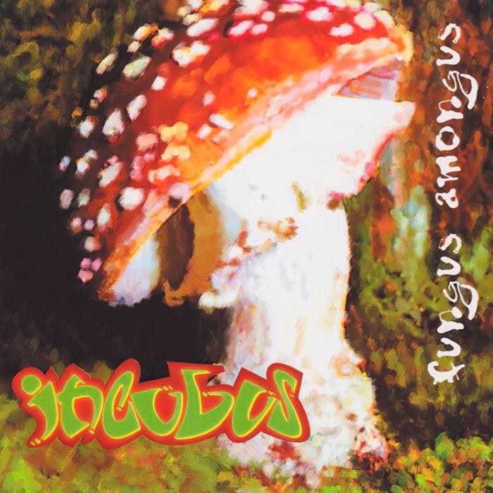 Fungus Amongus cover