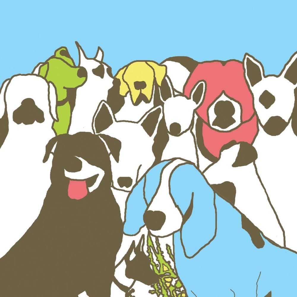 Dog Problems cover