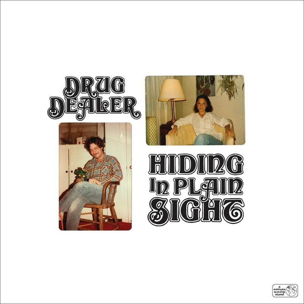 Hiding in Plain Sight cover