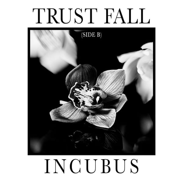 Trust Fall (Side B) cover