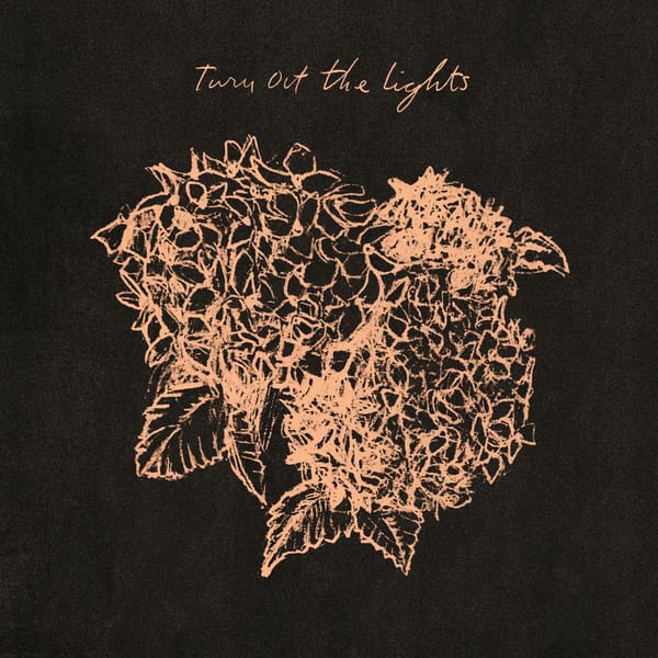 Turn Out the Lights cover