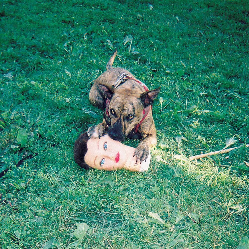 Cody cover