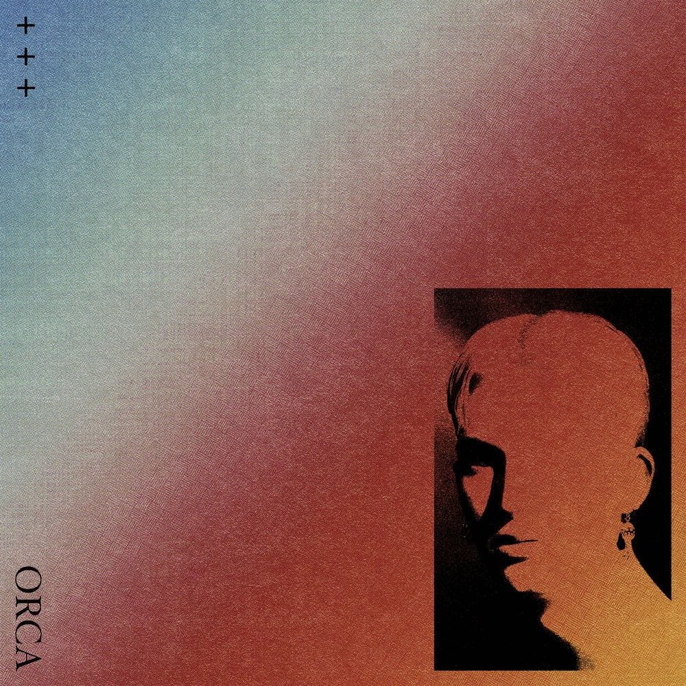 Orca cover