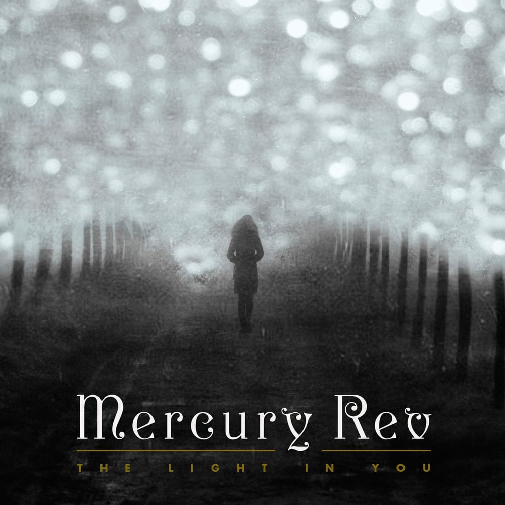 The Light in You cover