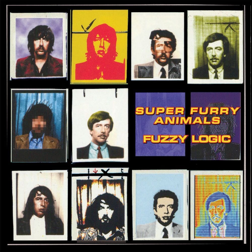 Fuzzy Logic cover