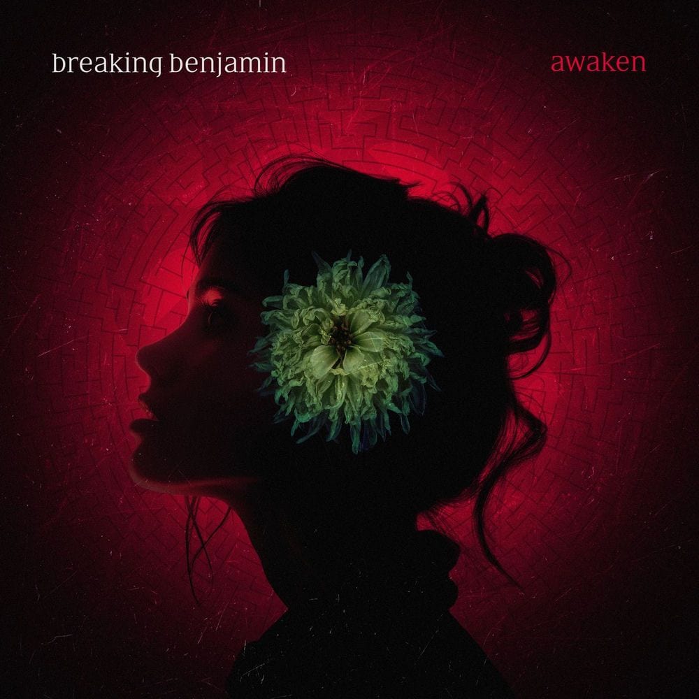 Awaken cover