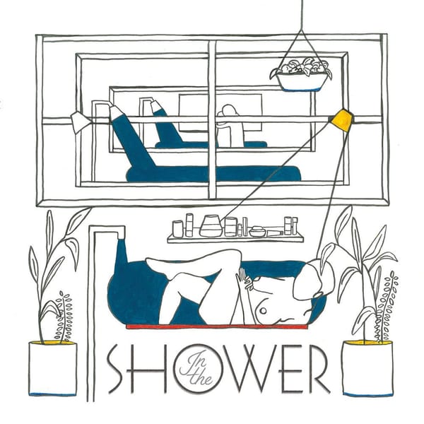 In the Shower cover