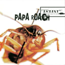 Infest cover art
