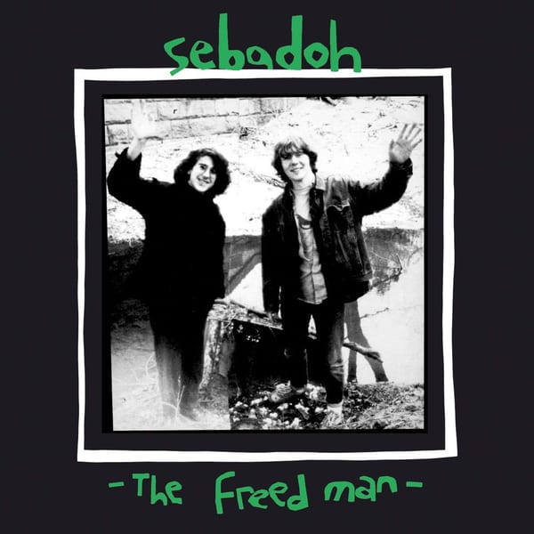 The Freed Man cover
