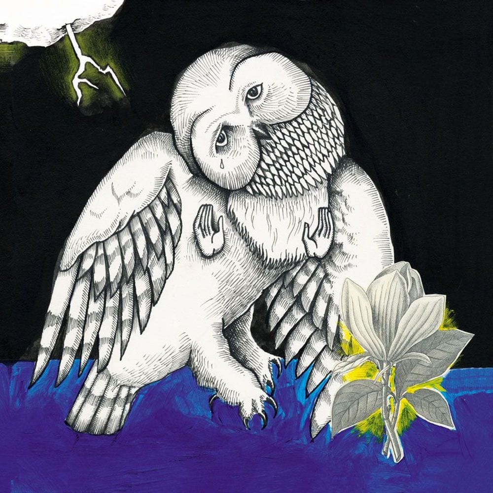 The Magnolia Electric Co. cover