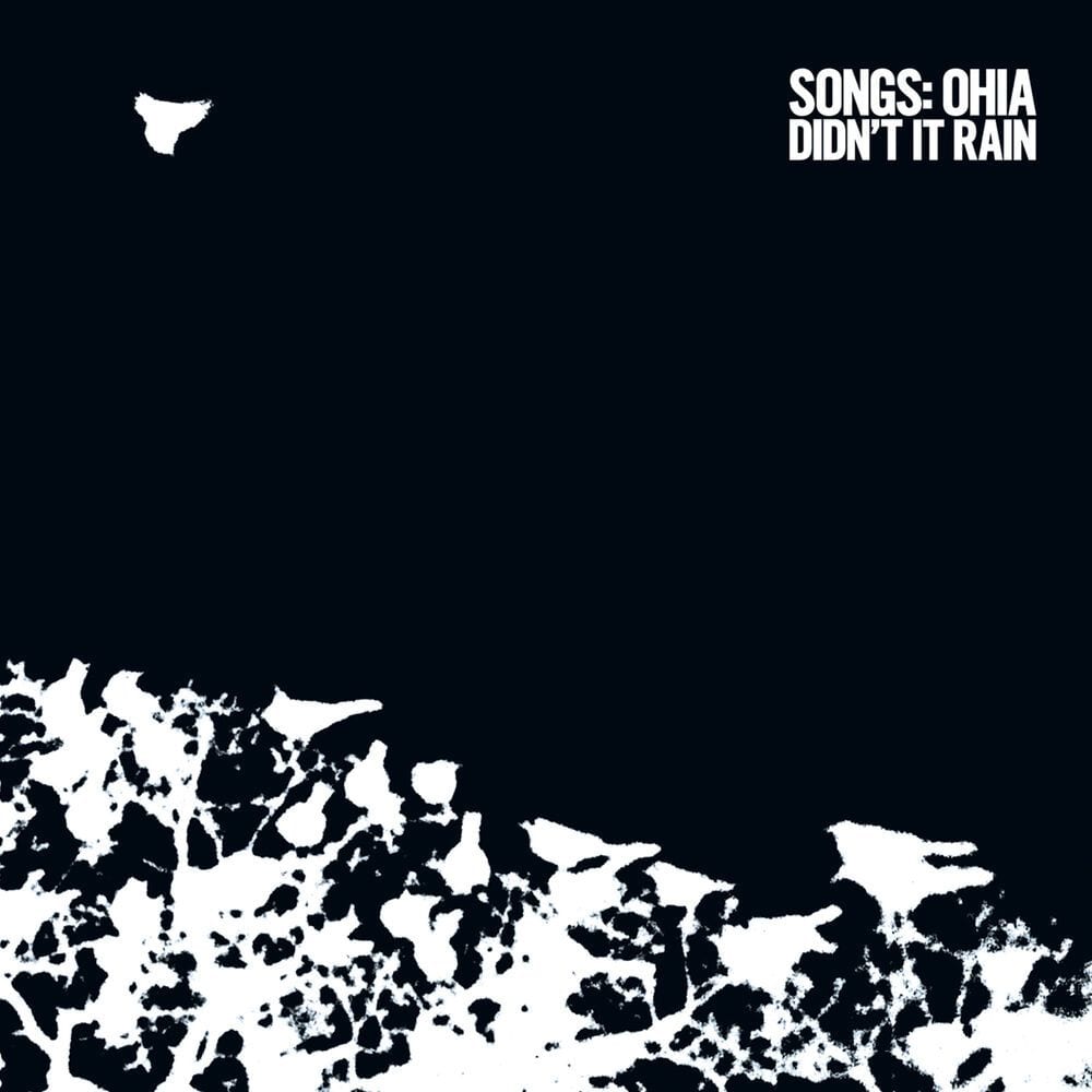 Didn't It Rain cover