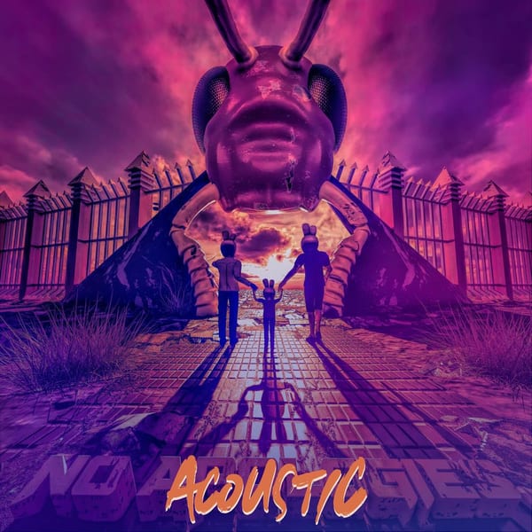 No Apologies (Acoustic) album cover