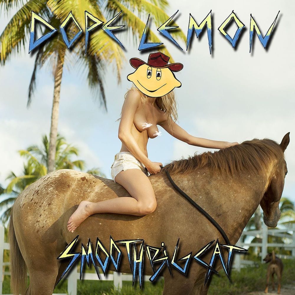 Smooth Big Cat cover