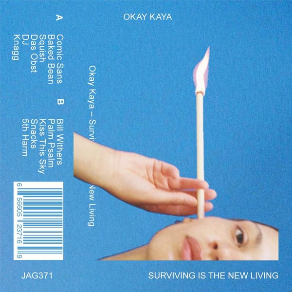 Surviving Is the New Living cover